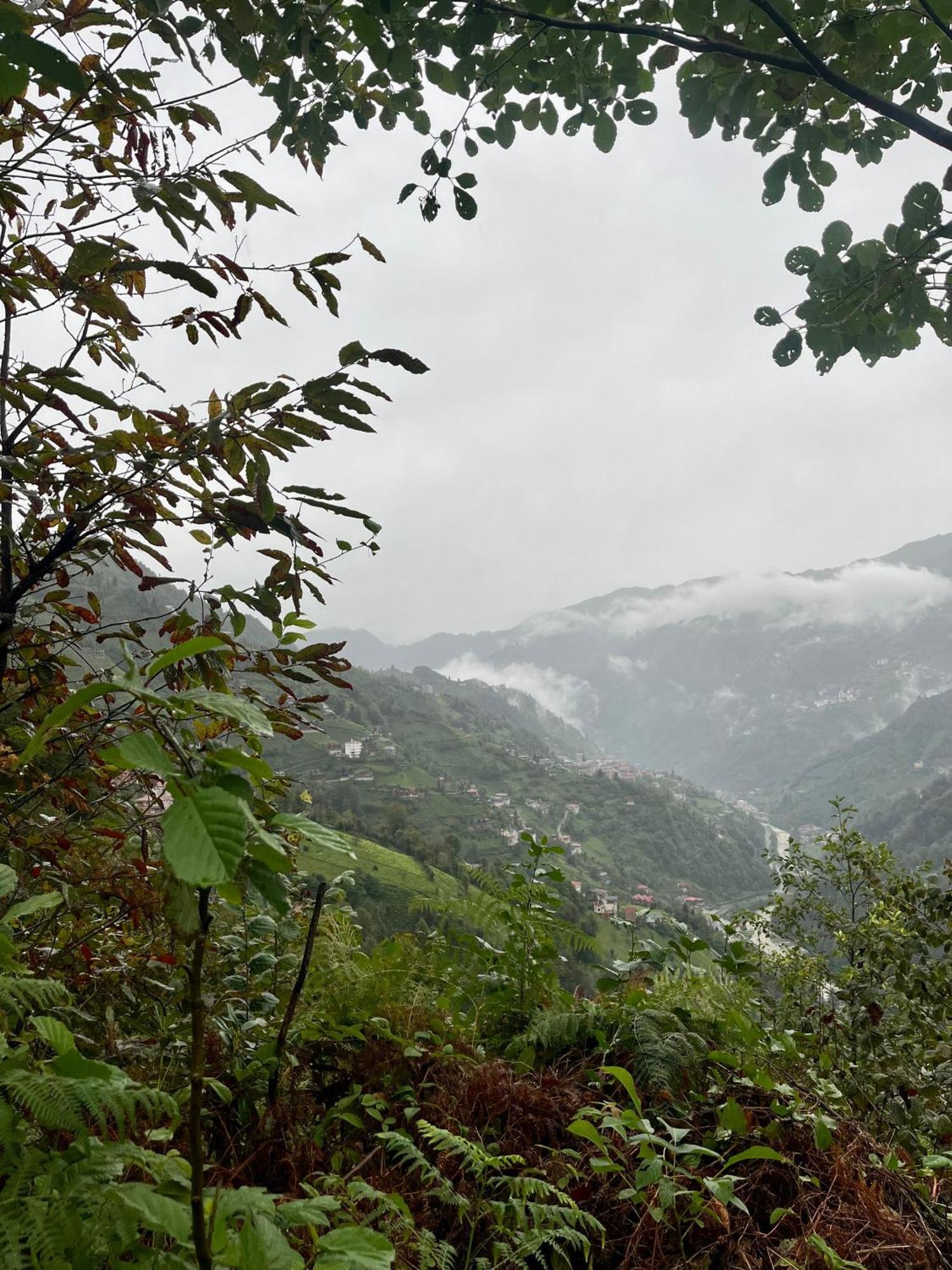 Relax Dag Evleri Rezistans Dikkaya  Exterior foto