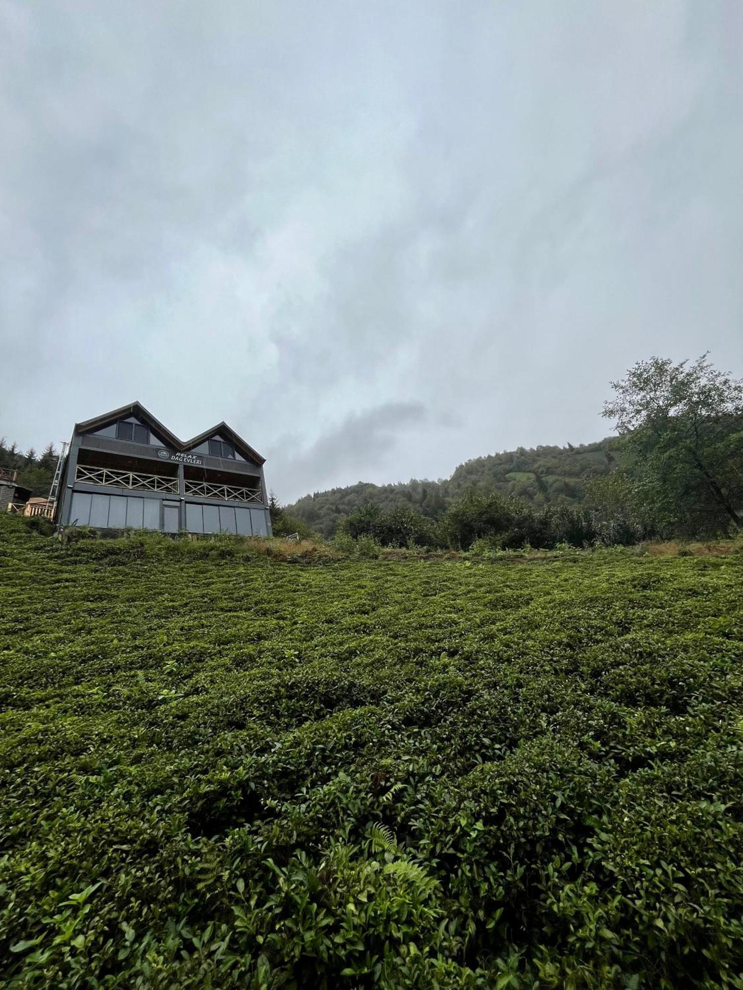 Relax Dag Evleri Rezistans Dikkaya  Exterior foto