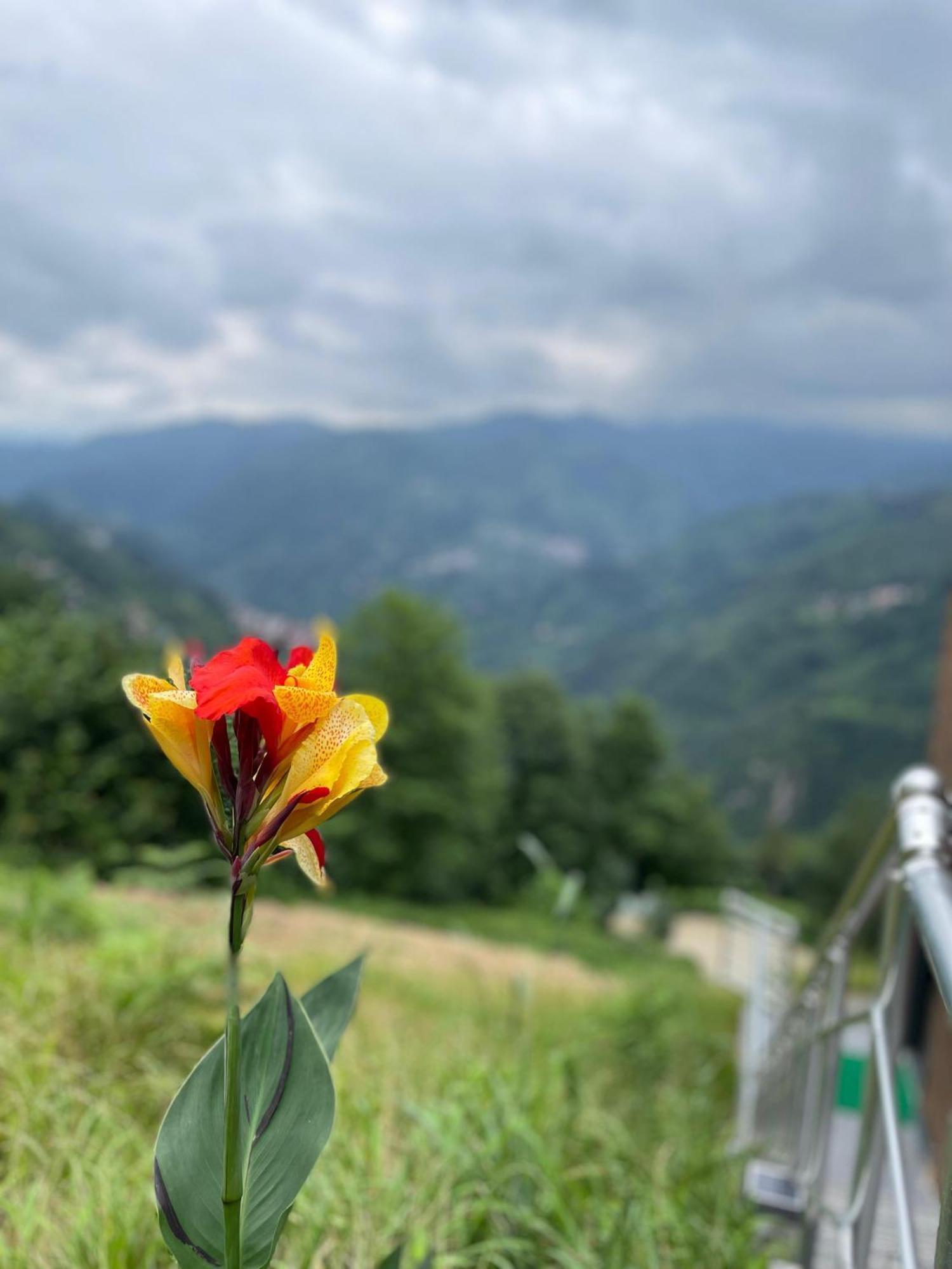 Relax Dag Evleri Rezistans Dikkaya  Exterior foto
